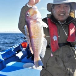 鯛紅丸 釣果