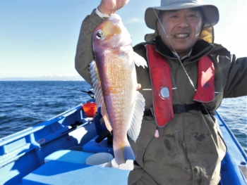 鯛紅丸 釣果