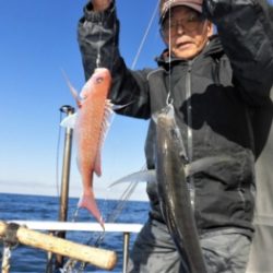 鯛紅丸 釣果