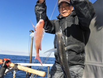 鯛紅丸 釣果