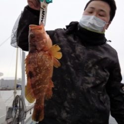鯛紅丸 釣果