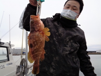 鯛紅丸 釣果