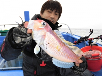 鯛紅丸 釣果