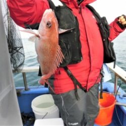鯛紅丸 釣果