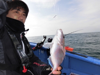 鯛紅丸 釣果