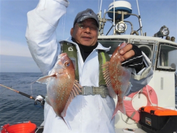 鯛紅丸 釣果