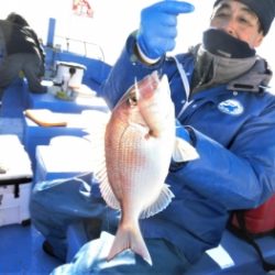 鯛紅丸 釣果