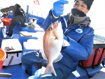 鯛紅丸 釣果