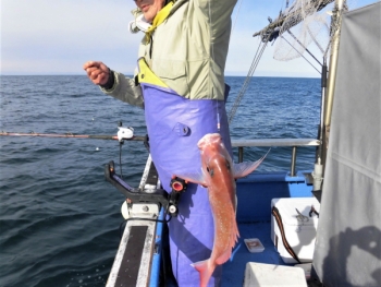 鯛紅丸 釣果