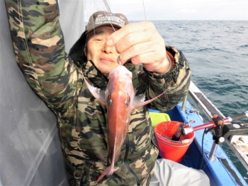 鯛紅丸 釣果