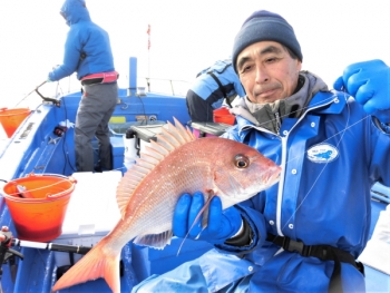 鯛紅丸 釣果