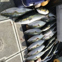 釣船 浦島太郎 釣果