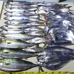 Hit Rush(ヒット ラッシュ) 釣果