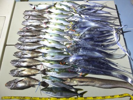 Hit Rush(ヒット ラッシュ） 釣果…