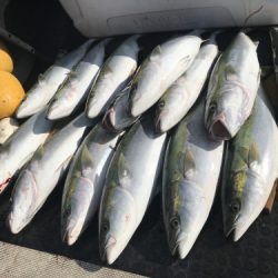 釣船 浦島太郎 釣果