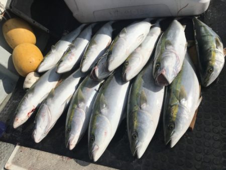 釣船 浦島太郎 釣果