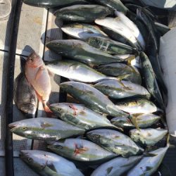 釣船 浦島太郎 釣果