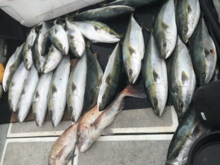 釣船 浦島太郎 釣果
