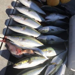 釣船 浦島太郎 釣果