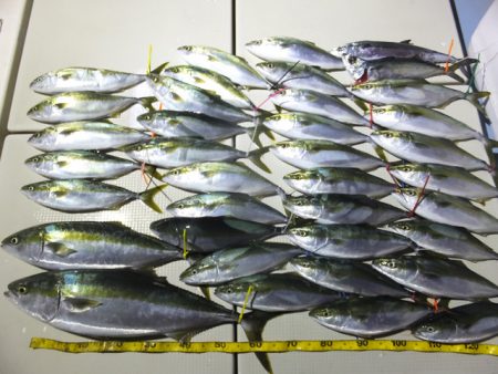 Hit Rush(ヒット ラッシュ） 釣果…