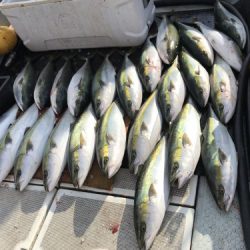 釣船 浦島太郎 釣果