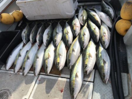 釣船 浦島太郎 釣果