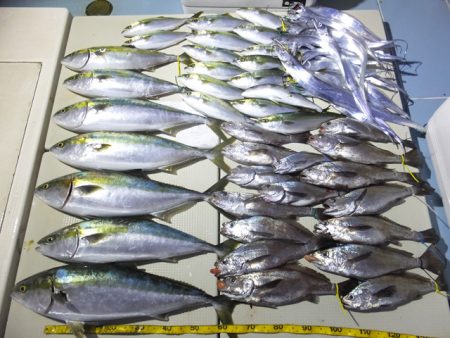 Hit Rush(ヒット ラッシュ） 釣果…