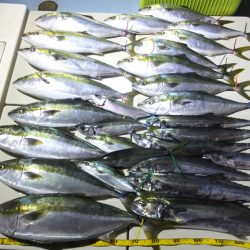 Hit Rush(ヒット ラッシュ) 釣果