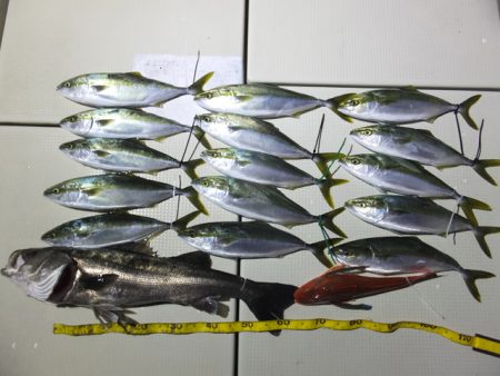 Hit Rush(ヒット ラッシュ） 釣果…