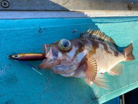 広進丸 釣果