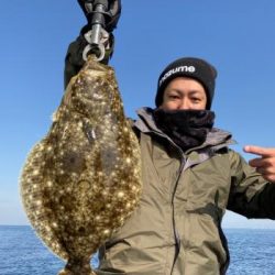 シーマジカル 釣果