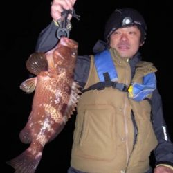 シーマジカル 釣果