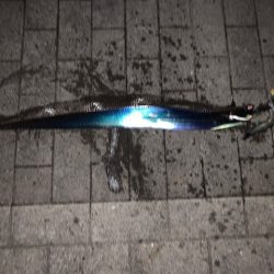 ランガンで太刀魚