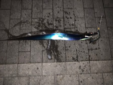 ランガンで太刀魚