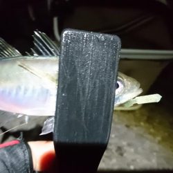 クリスマスアジング