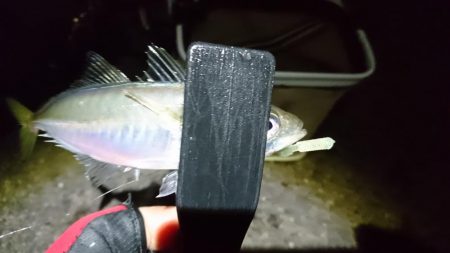 クリスマスアジング