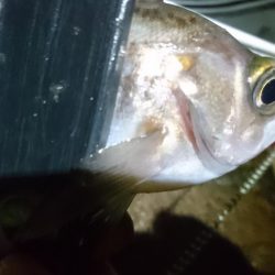 雨の中少しだけ