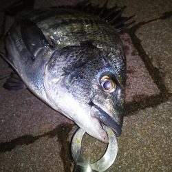 クリスマスだろうが関係なし