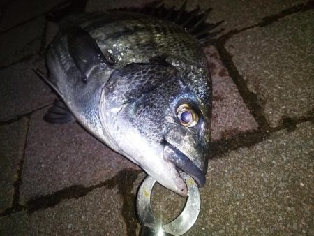 クリスマスだろうが関係なし