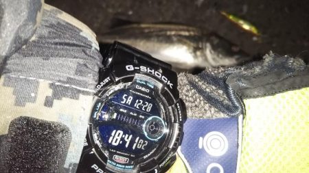 ぶらシーバス！！