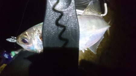 クリスマスアジング