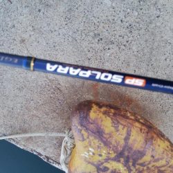 大晦日タチウオ釣り