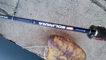 大晦日タチウオ釣り