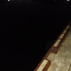 久々にタチウオ釣れた