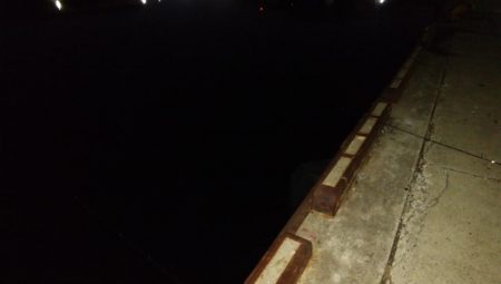 久々にタチウオ釣れた