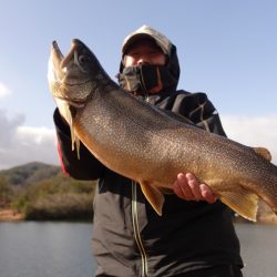 フィッシングレイクたかみや 釣果