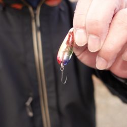 フィッシングレイクたかみや 釣果