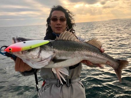 Rush(ラッシュ) 釣果