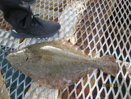 下関フィッシングパーク 釣果