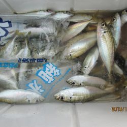 下関フィッシングパーク 釣果